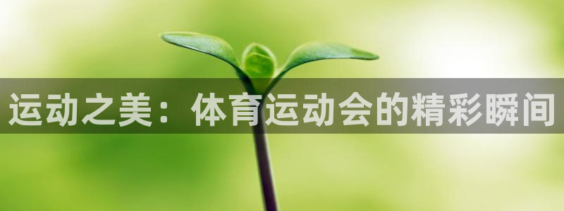 尊龙官方正版app开户:运动之美:体育运动会的精彩瞬间