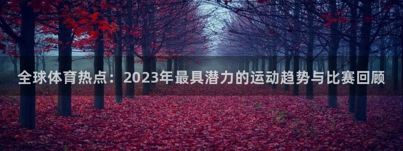 尊龙官网下载平台注册要钱吗安全吗:全球体育热点:2023年最