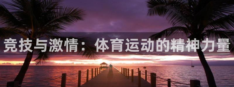尊龙官网下载招商电话:竞技与激情:体育运动的精神力量
